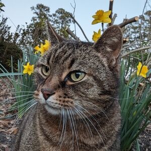 Meet your Posher, Lynn